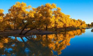 成都出發(fā)內(nèi)蒙額濟納8日自駕游：胡楊林-張掖丹霞-戈壁風光西北8日自駕游自駕游