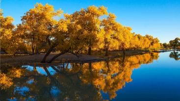 成都出发内蒙额济纳8日自驾游：胡杨林-张掖丹霞-戈壁风光西北8日自驾游-推荐