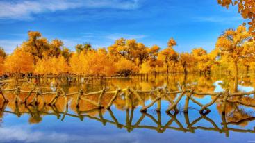 北京出发内蒙古自驾游：额济纳胡杨林-居延海-怪树林-黑水城6日自驾之旅-推荐
