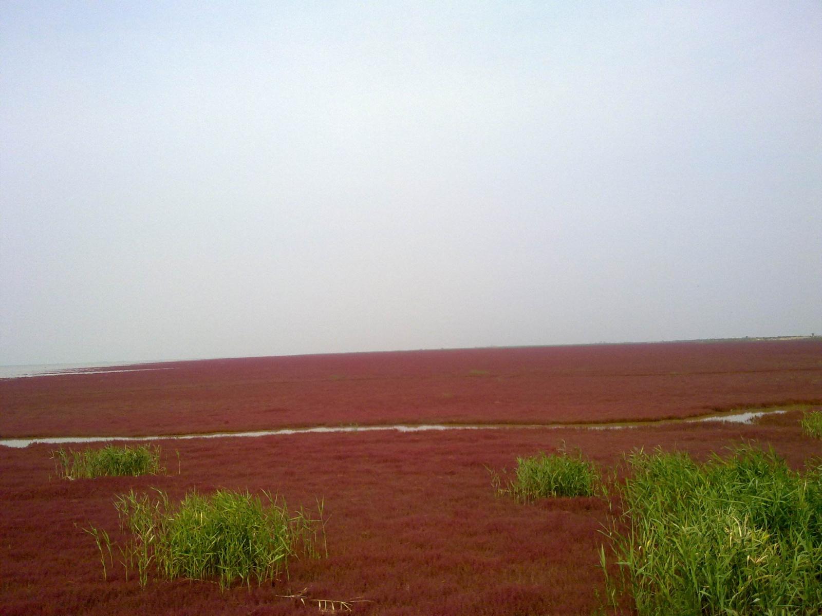 北京出发山东自驾游：朱家裕风景区-黄河口生态旅游区-雪野湖3日自驾之旅自驾游