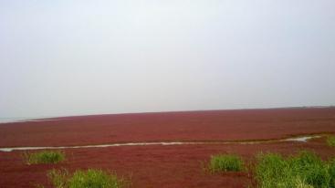 北京出发山东自驾游：朱家裕风景区-黄河口生态旅游区-雪野湖3日自驾之旅-推荐