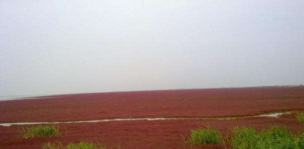北京出发山东自驾游：朱家裕风景区-黄河口生态旅游区-雪野湖3日自驾之旅自驾游