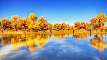 山东出发额济纳7日自驾游：额济纳胡杨林-掖丹霞-老牛湾-沙坡头赏秋游-推荐