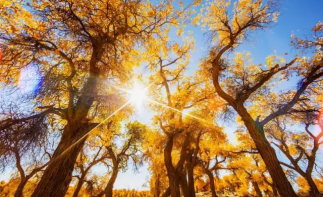 貴州出發(fā)內(nèi)蒙額濟納9日自駕游：張掖七彩丹霞-額濟納胡楊林-居延海9日西北自駕游自駕游