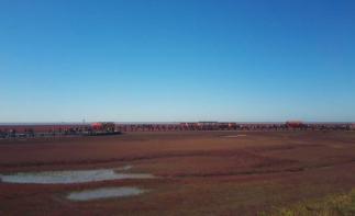 北京出發(fā)自駕觀紅海灘奇觀，品盤錦稻田蟹、愜意遼河游船晚餐特色之旅2日游自駕游