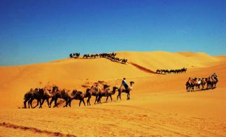 成都出發(fā)內(nèi)蒙8日自駕游：響沙灣-七星湖-鎮(zhèn)北堡影視城8日自駕游自駕游