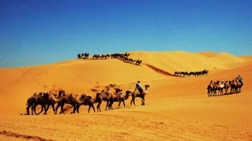 成都出发内蒙8日自驾游：响沙湾-七星湖-镇北堡影视城8日自驾游-推荐