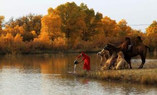 西安出发张掖额济纳7日自驾游：张掖丹霞地貌-额济纳旗胡杨-居延海7日自驾游自驾游