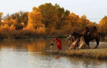 西安出发张掖额济纳7日自驾游：张掖丹霞地貌-额济纳旗胡杨-居延海7日自驾游-游推荐