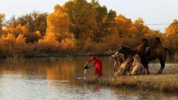 西安出发张掖额济纳7日自驾游：张掖丹霞地貌-额济纳旗胡杨-居延海7日自驾游-推荐