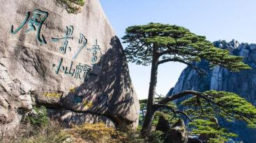 山东出发安徽5日自驾游：黄山-宏村-塔川-鲍家花园-屯溪老街精品游-推荐