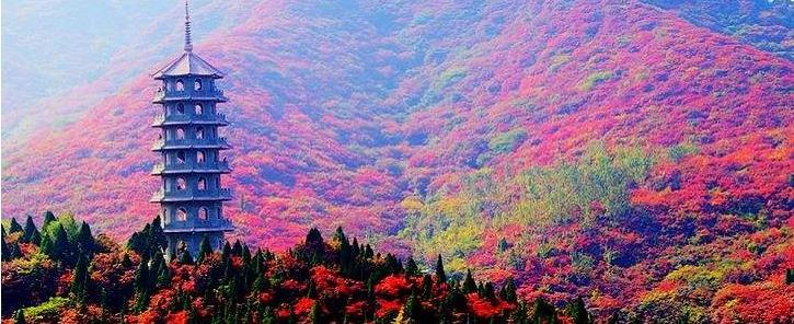 北京出发山东河北4日自驾游：红叶谷-广府古城-娲皇宫4日自驾之旅自驾游