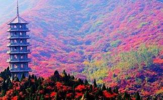 北京出發(fā)山東河北4日自駕游：紅葉谷-廣府古城-媧皇宮4日自駕之旅自駕游