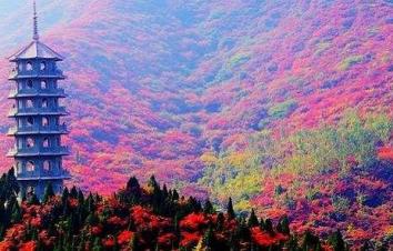 北京出发山东河北4日自驾游：红叶谷-广府古城-娲皇宫4日自驾之旅-游推荐