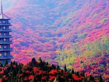 北京出發(fā)山東河北4日自駕游：紅葉谷-廣府古城-媧皇宮4日自駕之旅