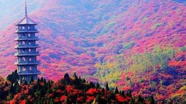 北京出发山东河北4日自驾游：红叶谷-广府古城-娲皇宫4日自驾之旅-推荐