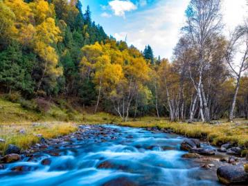 四川出发北山天堂7日金秋深度自驾游：川主寺-松潘古城-若尔盖大草原-坎布拉国家公园-北山林场