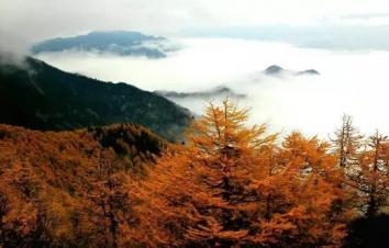 四川出发大秦知秋古道穿越6日自驾游：秦岭秋色-黄花岭景观道-大箭沟-银杏王-金丝猴-游推荐