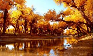 濟(jì)南出發(fā)自駕額濟(jì)納8日游：烏蘭察布-烏梁素海-額濟(jì)納胡楊林-嘉峪關(guān)-波浪谷8日游自駕游