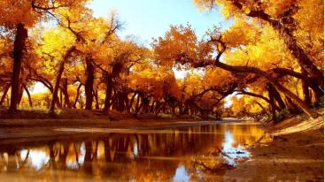 济南出发自驾额济纳8日游：乌兰察布-乌梁素海-额济纳胡杨林-嘉峪关-波浪谷8日游-推荐