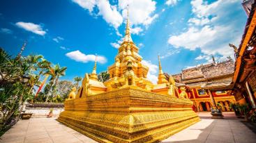 重庆出发云南西双版纳7日自驾：野象谷-傣族园-抚仙湖，享尽雨林奇观、傣族风情-推荐