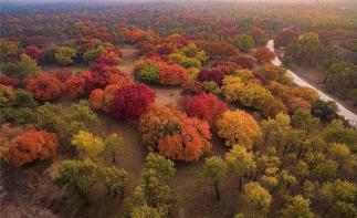 北京出发通辽5日自驾游：奈曼怪柳-沙漠草原-五角枫-金秋通辽公益扶贫5日自驾游自驾游