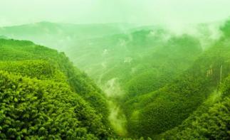 北京出发湖北四川12日自驾：三峡大坝-蜀南竹海-嘉阳小火车12日川东南自驾游自驾游