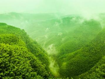 北京出发湖北四川12日自驾：三峡大坝-蜀南竹海-嘉阳小火车12日川东南自驾游