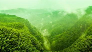 北京出发湖北四川12日自驾：三峡大坝-蜀南竹海-嘉阳小火车12日川东南自驾游-推荐