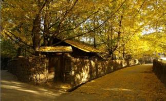 昆明集合云南滇西6日自驾游：金秋昆明大理腾冲瑞丽6日落地租车自驾自驾游