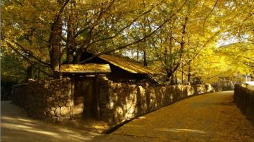 昆明集合云南滇西6日自驾游：金秋昆明大理腾冲瑞丽6日落地租车自驾-推荐