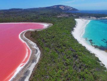 全國出發(fā)西澳大利亞南線9日落地自駕游： 珀斯公園-天鵝谷-奧爾巴尼-粉紅湖-波浪巖9日跨國之旅