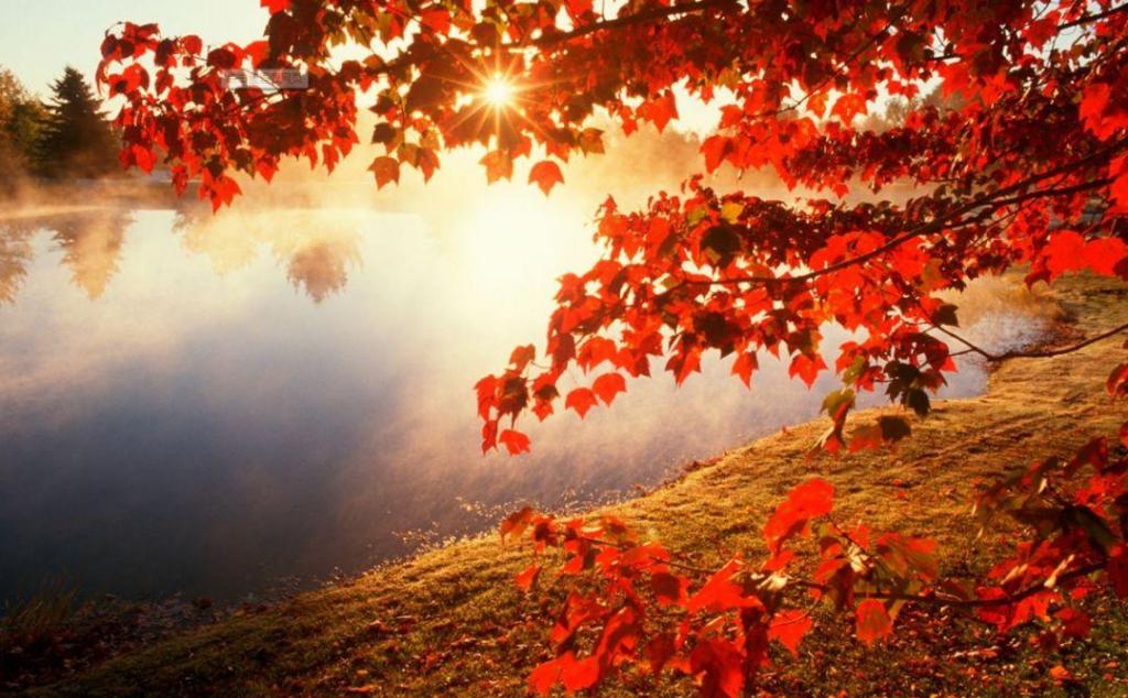 重庆出发湖北神农架4日自驾游：神农架秋色之美，穿越当阳大峡谷，游历史名城