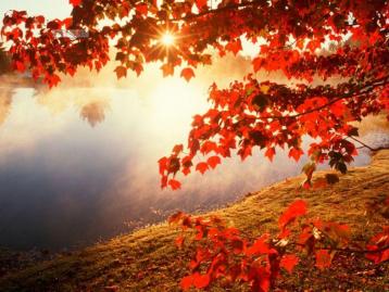 重庆出发湖北神农架4日自驾游：神农架秋色之美，穿越当阳大峡谷，游历史名城