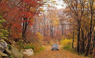 重庆出发四川自驾游：赏光雾山秋色-逛三国古都-昭化古城3日自驾游自驾游