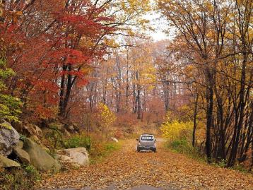 重庆出发四川自驾游：赏光雾山秋色-逛三国古都-昭化古城3日自驾游