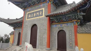 北京出发山东聊城3日自驾游：赏银杏大道、探秘阿胶世界3日自驾之旅-推荐