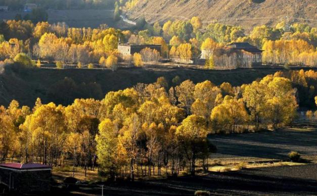 重庆周边自驾游：新都桥-木雅圣地-康定溜溜城3日自驾游