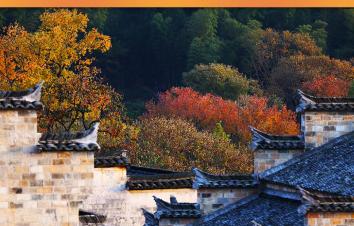 山東出發(fā)黃山5日自駕游：黃山-宏村-南坪-塔川-皖南318線賞秋5日游-游推薦