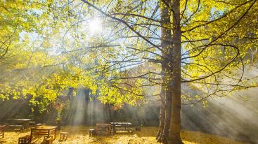 昆明集合云南10日自驾游：无量山樱花海-腾冲银杏-大理丽江-西双版纳赏秋之旅-推荐