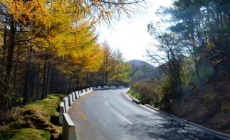 武汉出发穿越秦岭5日自驾游：留侯古镇-周至水街-黄柏塬生态区5日邂逅最美秋色自驾游