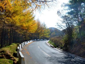 武汉出发穿越秦岭5日自驾游：留侯古镇-周至水街-黄柏塬生态区5日邂逅最美秋色