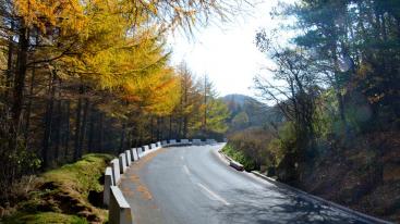 武汉出发穿越秦岭5日自驾游：留侯古镇-周至水街-黄柏塬生态区5日邂逅最美秋色-推荐