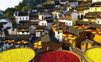 重庆出发到婺源篁岭7日自驾：景德镇-婺源篁岭-三清山7日秋摄自驾自驾游