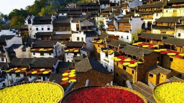 重庆出发到婺源篁岭7日自驾：景德镇-婺源篁岭-三清山7日秋摄自驾-推荐