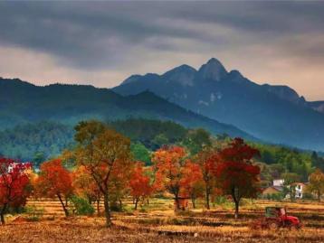 武汉周边2日自驾游：罗田红叶节-天堂寨景区-九资河圣人堂村2日自驾游