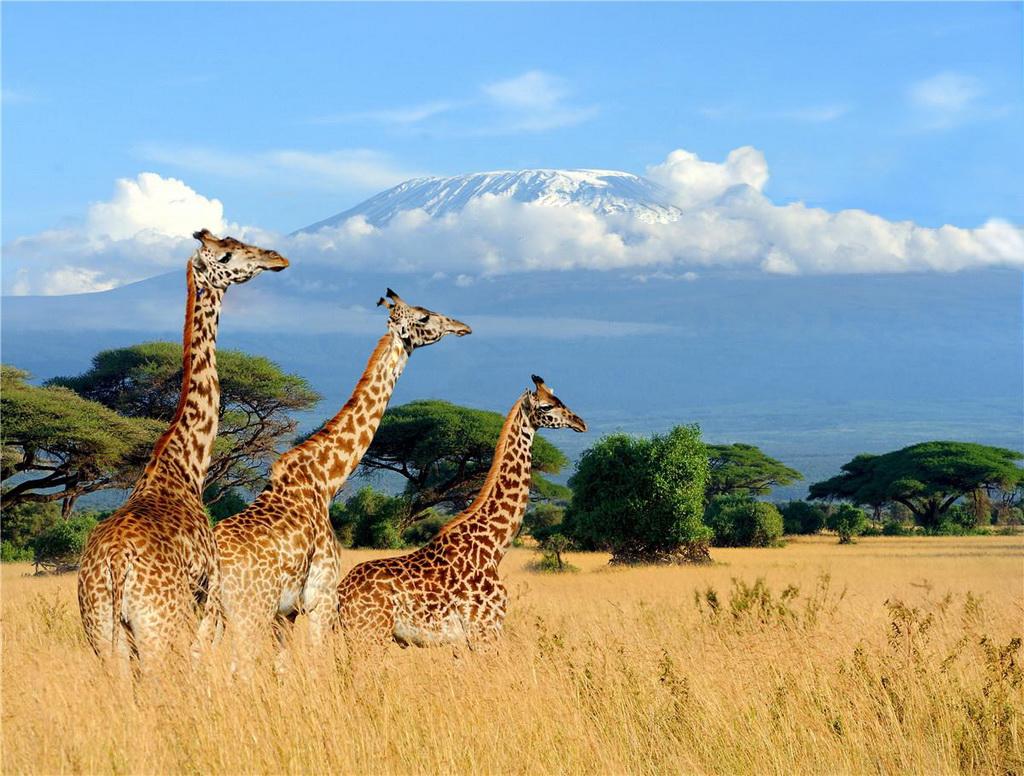 全景东非落地自驾：肯尼亚-东非大裂谷-乞力马扎罗山10日自驾游自驾游