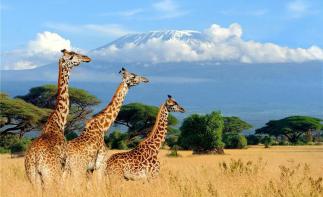 全景东非落地自驾：肯尼亚-东非大裂谷-乞力马扎罗山10日自驾游自驾游