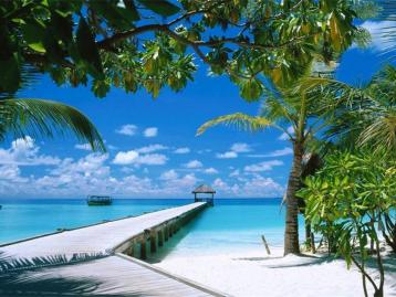 合肥出发海南五日自驾游：三亚-热带天堂森林公园-最美滨海公路环岛5日游