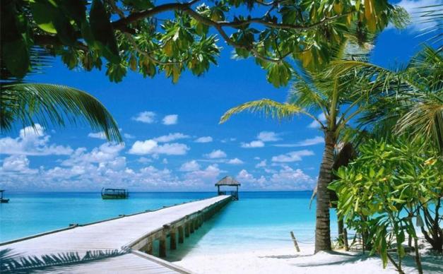 合肥出发海南五日自驾游：三亚-热带天堂森林公园-最美滨海公路环岛5日游